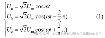 SiC-MOSFET 与 Si-IGBT 混合开关车载双向充电器中线桥臂设计及控制