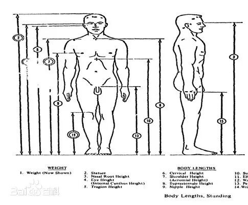 动力电池电气系统安全设计(十一)电气安全防触电