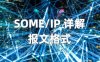 SOME/IP 详解（2） —— 报文格式