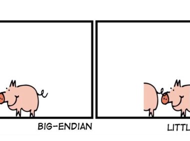 大端 vs 小端 — 车内通 信